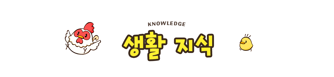 생활 지식