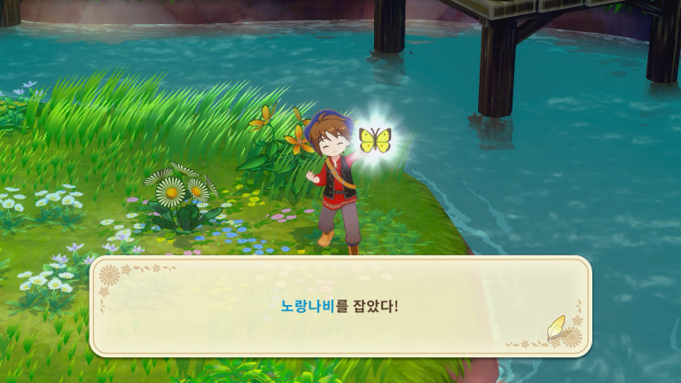 곤충 채집