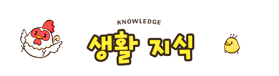 생활 지식