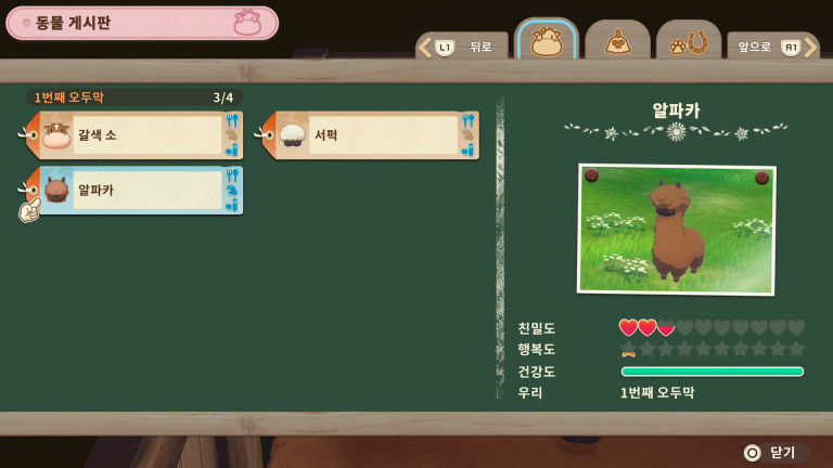 동물 게시판