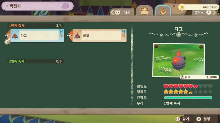 짝짓기
