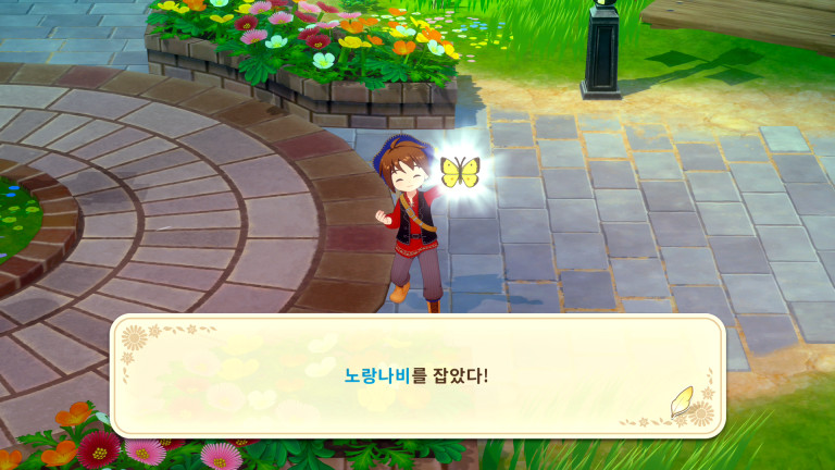 곤충 채집