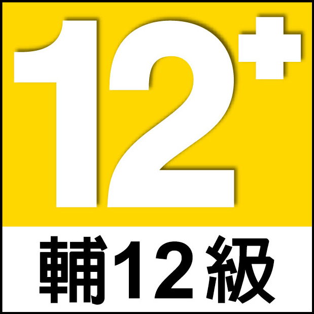 輔12級