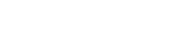 귀여운 강아지, 고양이와 함께 보내는 즐거운 시간